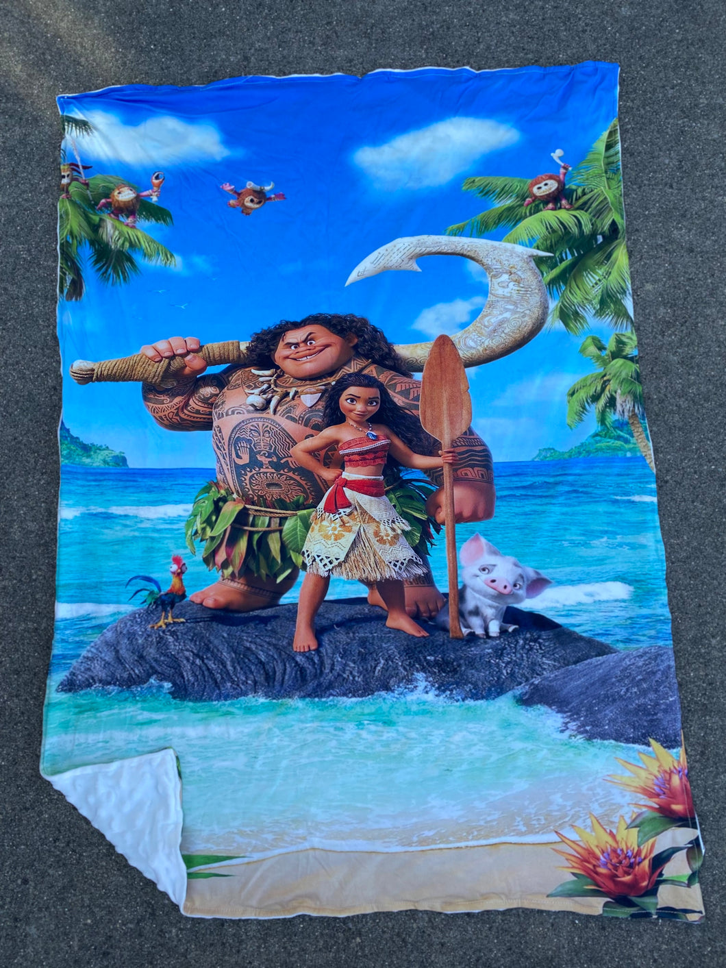 Ocean princess Minky blanket, 30x40”