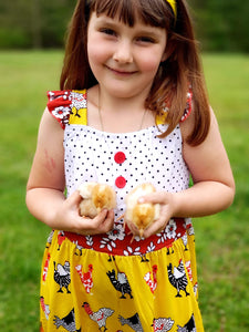 Chicken dress - You Are My Sunshine Boutique LLC